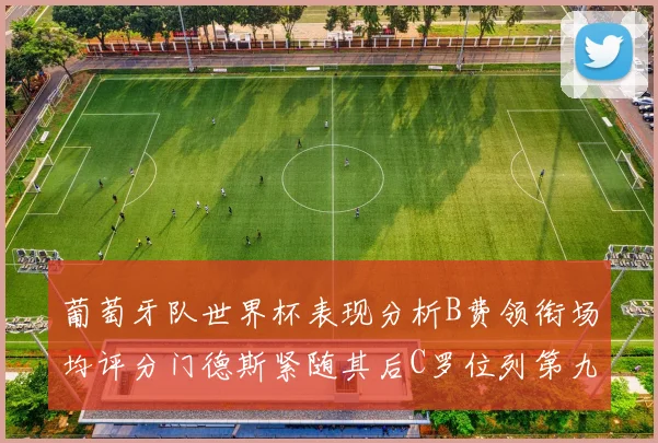 葡萄牙队世界杯表现分析B费领衔场均评分门德斯紧随其后C罗位列第九